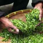 chinese-plantage-ries-herbal-tea